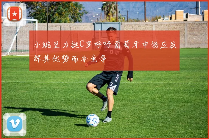 小豌豆力挺C罗呼吁葡萄牙中场应发挥其优势而非竞争